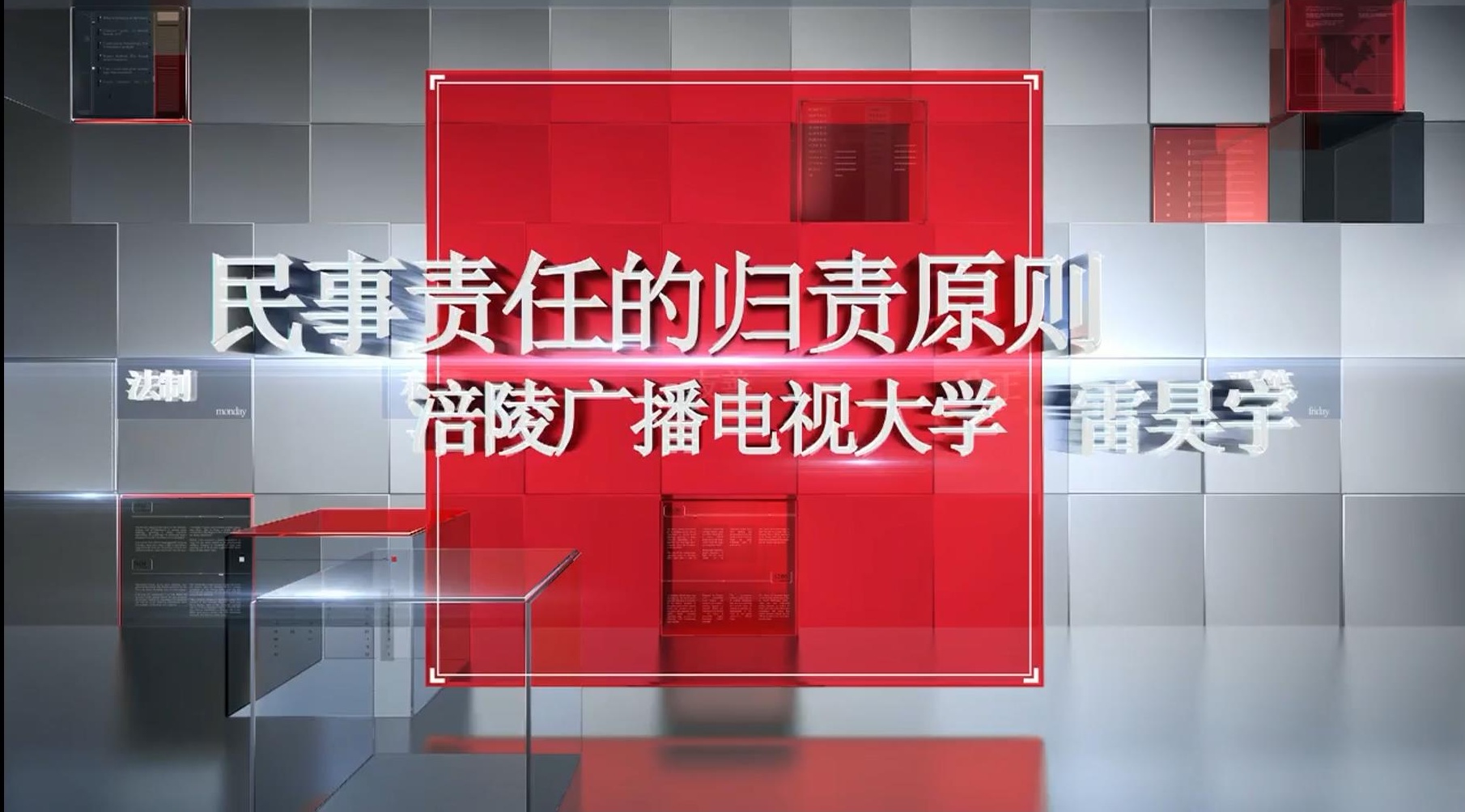 2020年微课 民事责任的归责原则 主讲 ：雷吴宇 